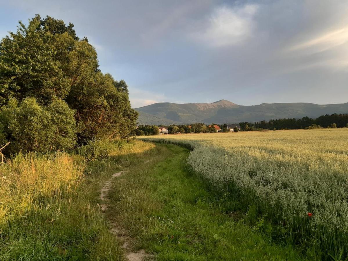 Willa Kolorowa Chata 6 Km Od Karpacza Mysłakowice Eksteriør bilde